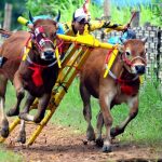 Mengenal Budaya Madura, Tradisi Unik dan Keindahan Kesenian Lokal